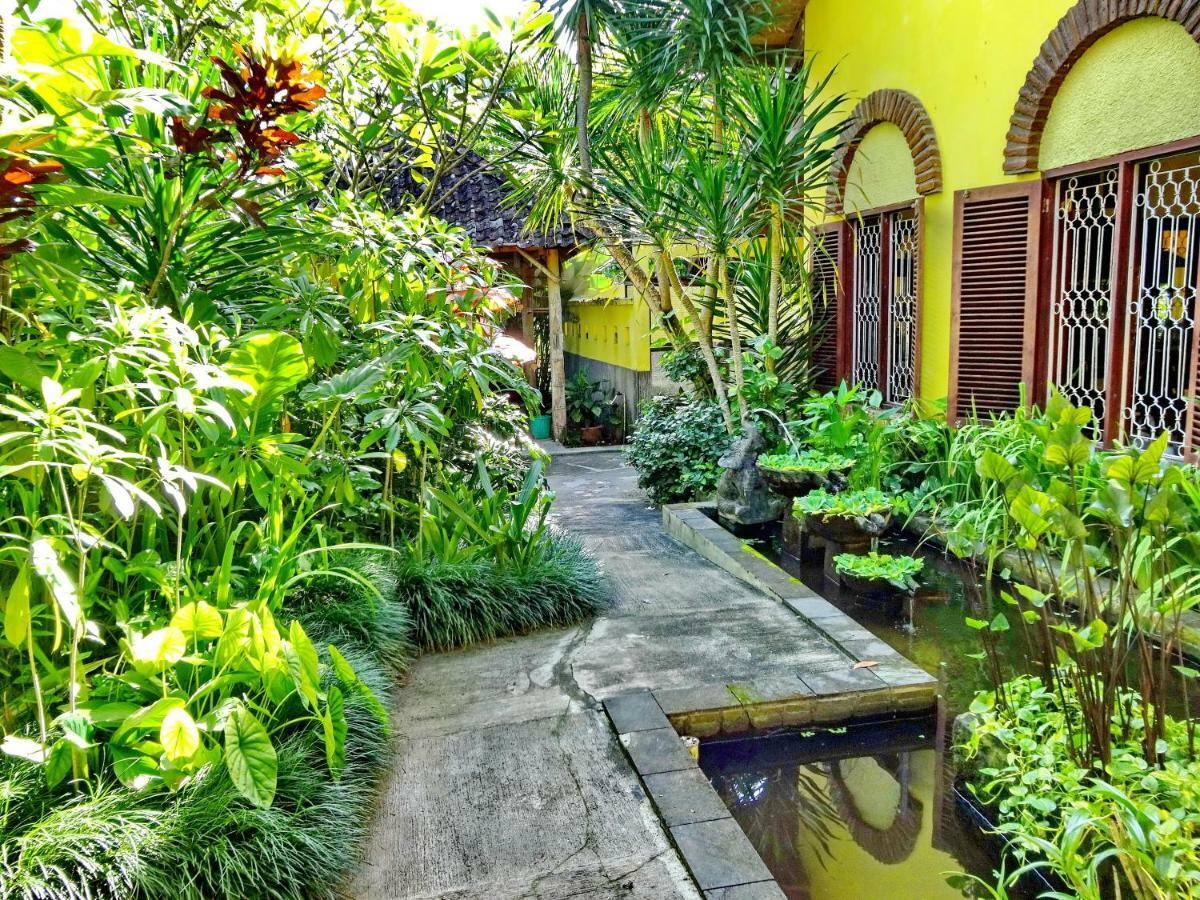 The Sawah Wisma tamu *