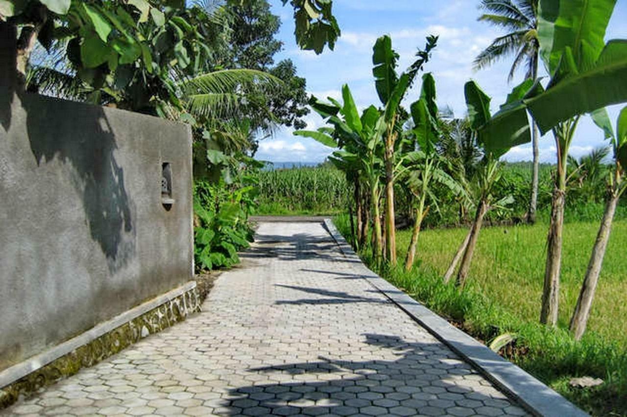 The Sawah Wisma tamu